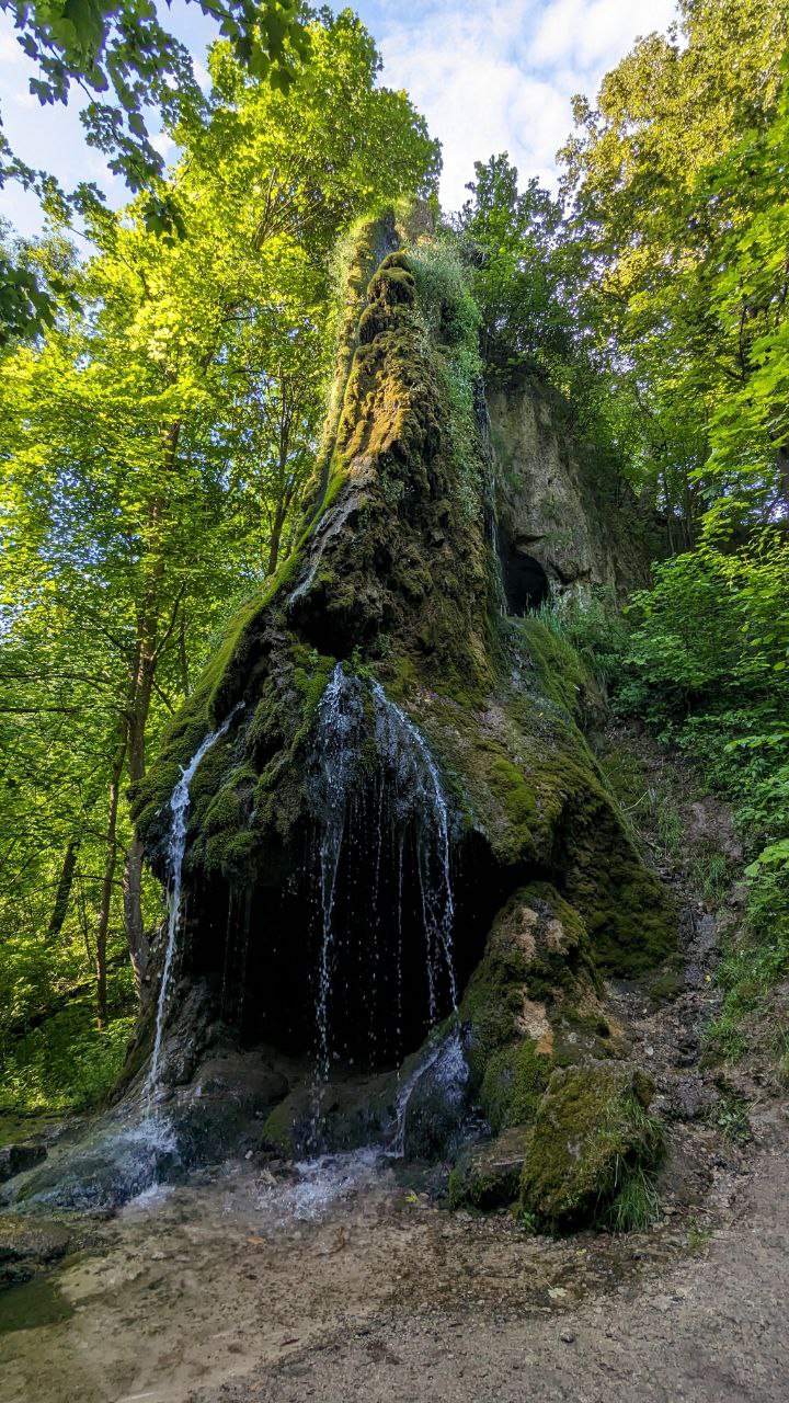 Маліївці